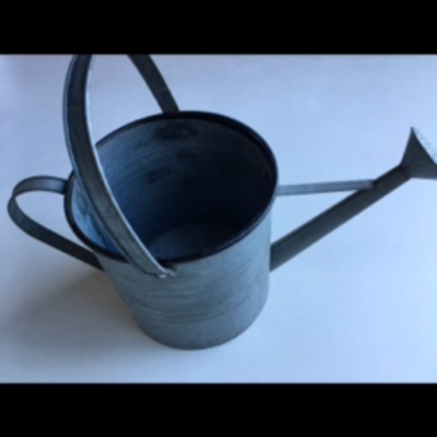 Rustic tin watering can