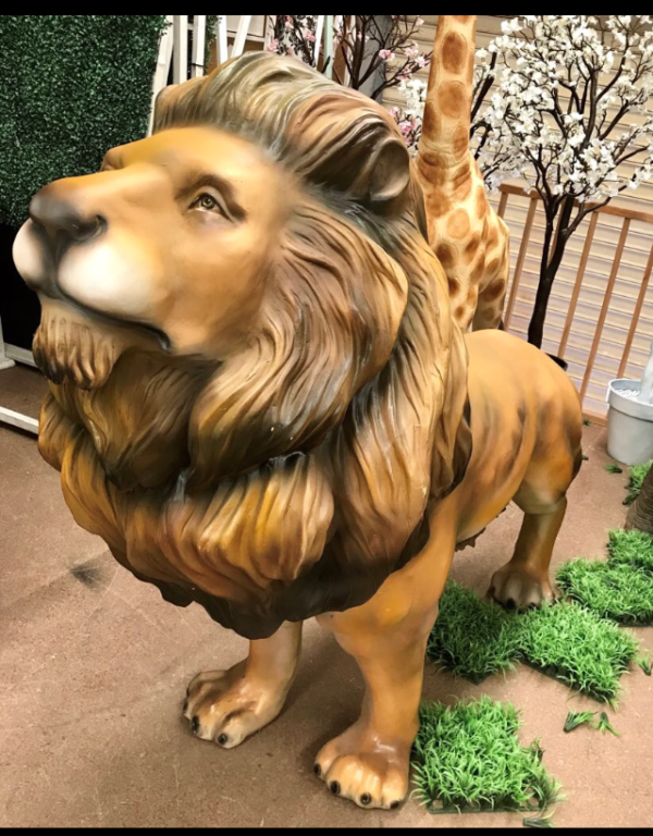 Extra large lion