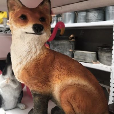 Fox
