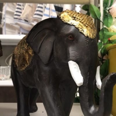 Gold Back elephant