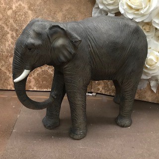Large Elephant