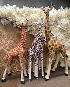 Large Giraffe