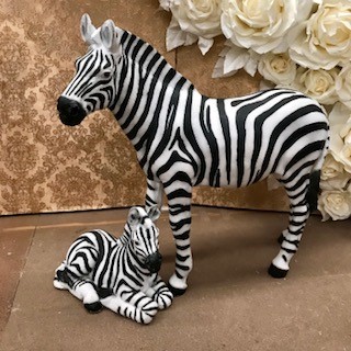 Sitting Zebra