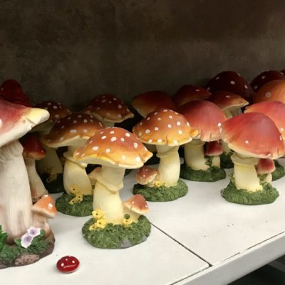 Mushrooms