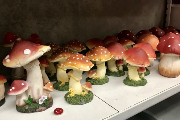 Mushrooms