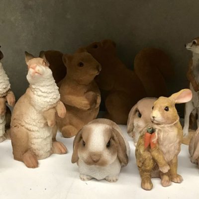 Rabbit