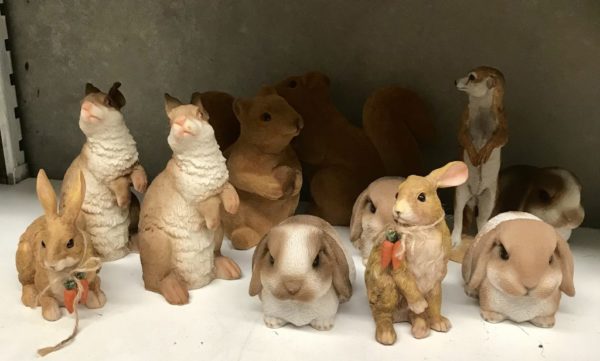 Rabbit