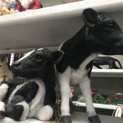 Cow