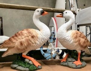 Goose
