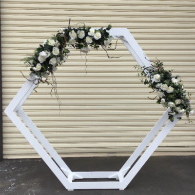 White hexagon backdrop