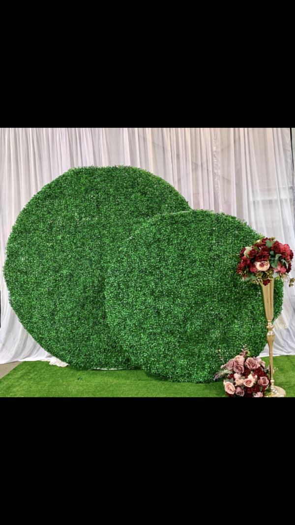 1.5m round grass hedge backdrop