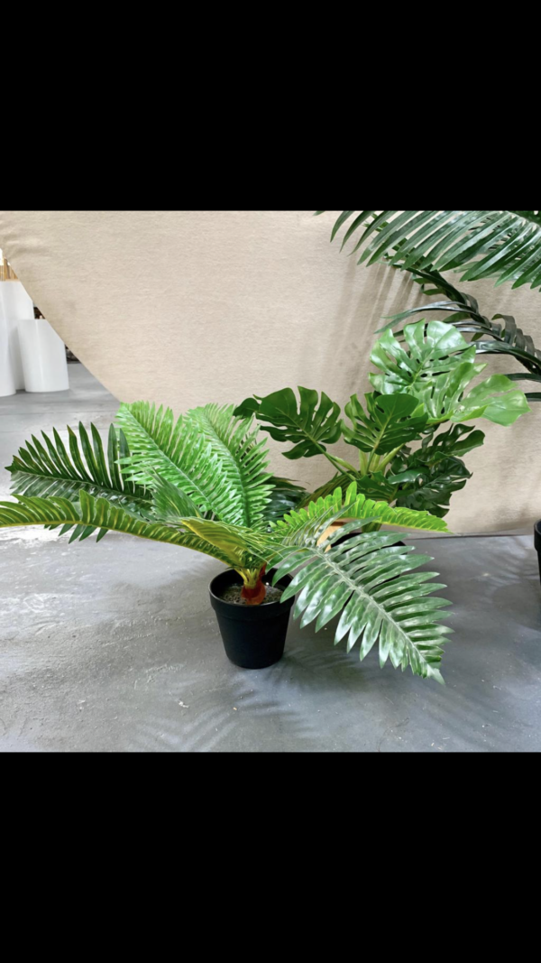 Small potted plant