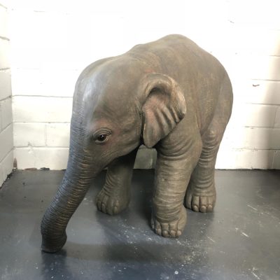 Baby elephant