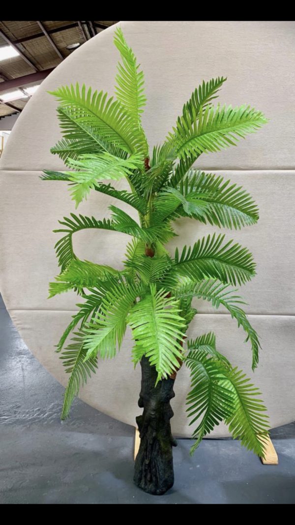 Large palm tree