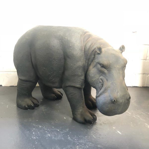 Small hippo