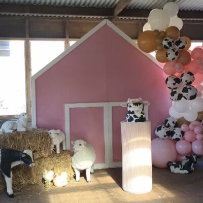 Pink barn backdrop