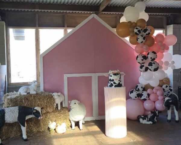 Pink barn backdrop